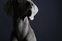 开云官网APP下载-“简阳文体中心：世界顶级选手齐聚，竞技魅力无可抵挡”