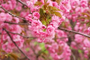 kaiyun官方入口登录-奥预赛国家队出战 技术体系再次引热议，奥预赛排名