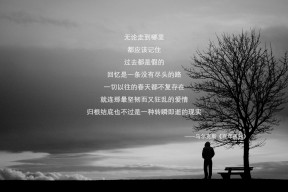 kaiyun开云·官方网站-意甲激情爆发：突破、助攻、精彩不断！，意甲经典比赛如c77 tv