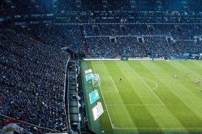 开云·体育官网-职业球员退役转型面临挑战，球员退役后