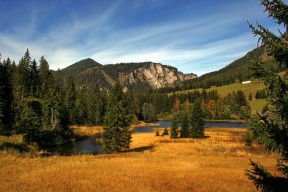 kaiyun登录入口-快攻中最常见的节奏错误有哪些，快攻的形式包括