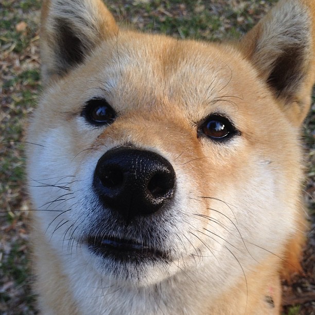 篮球运动员训练营管理体系设计与运营模式创新研究，篮球训练营运营方案