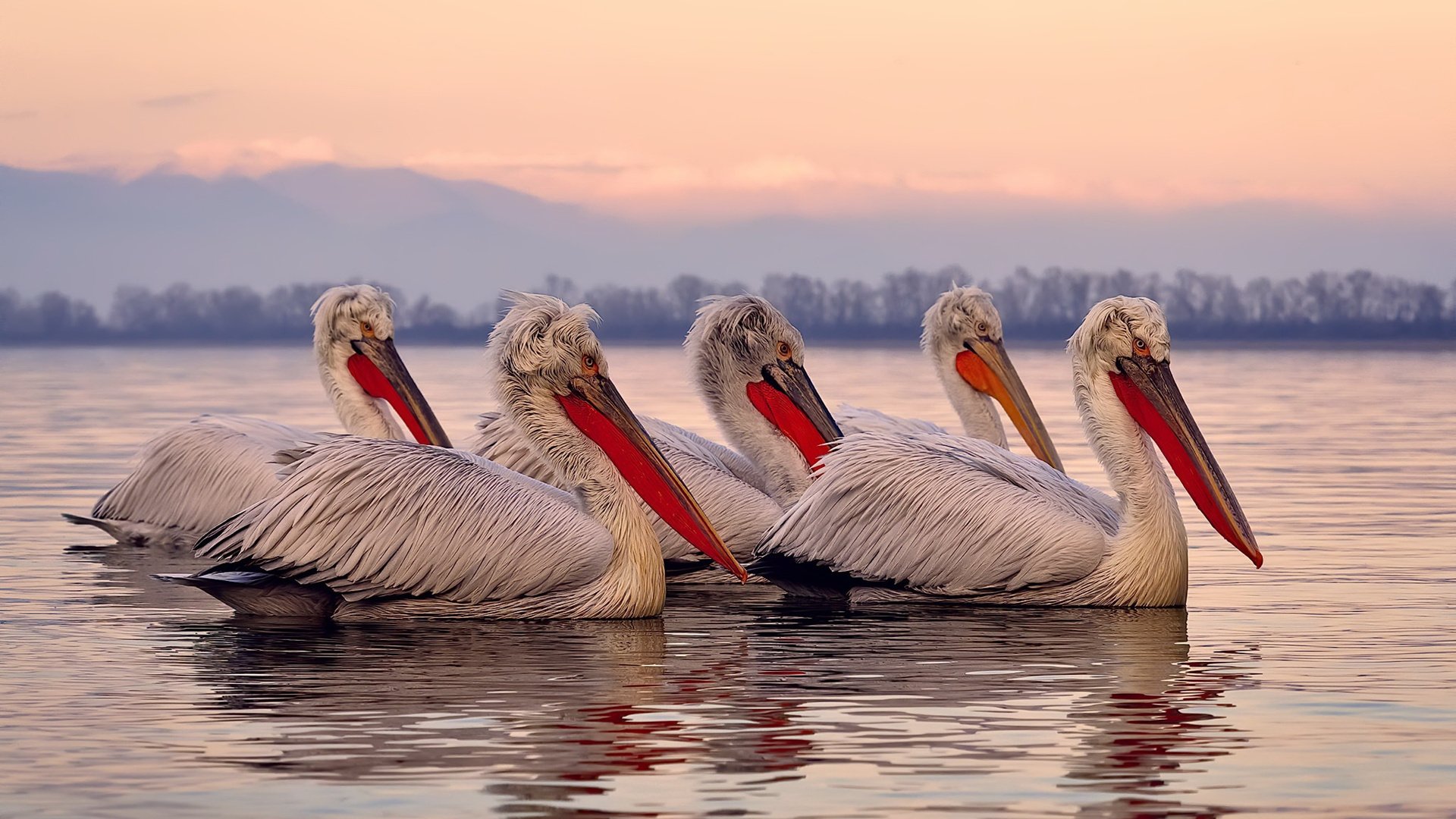 英超球队基于大数据的对手进攻模式预测研究，英超球队战术