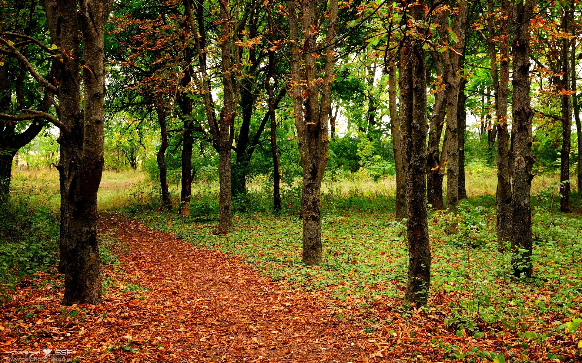 英超球队基于大数据的对手进攻模式预测研究，英超球队战术