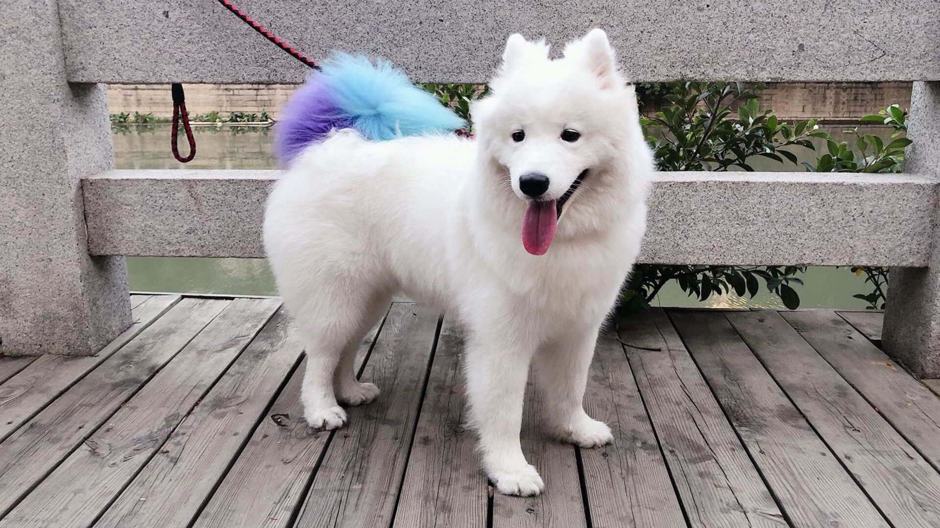 CBA整体三分命中率为何未提升,cba三分球命中率最新排名