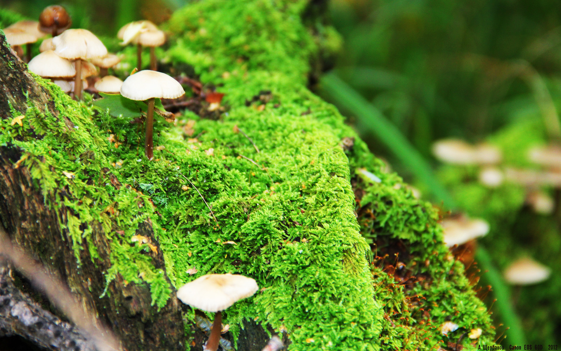 攀岩训练营开设夏令营带动家长参与,2020年攀岩培训