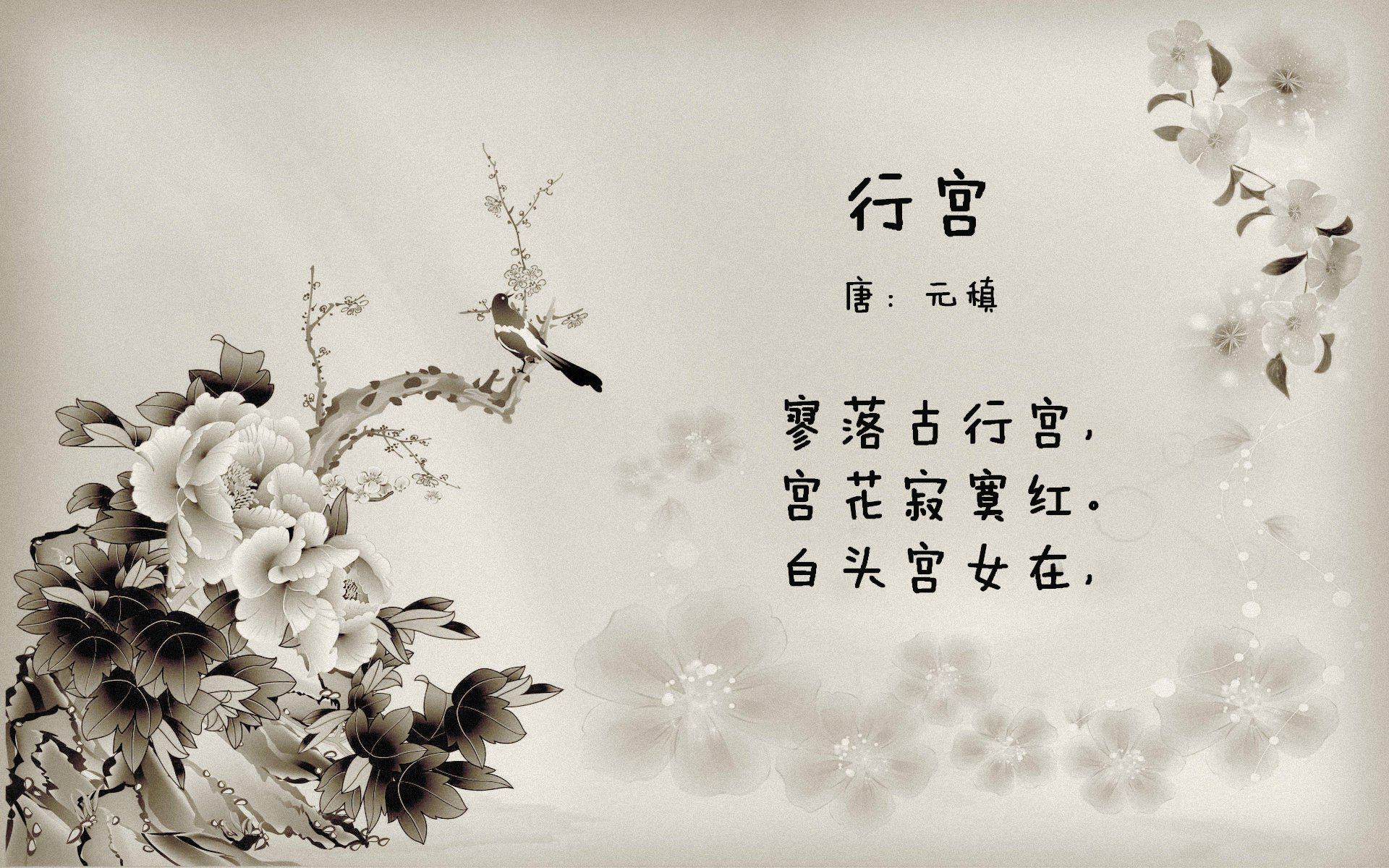 新赛制下,乒乓球竞技风格发生巨大变化,乒乓球竞赛规则简述