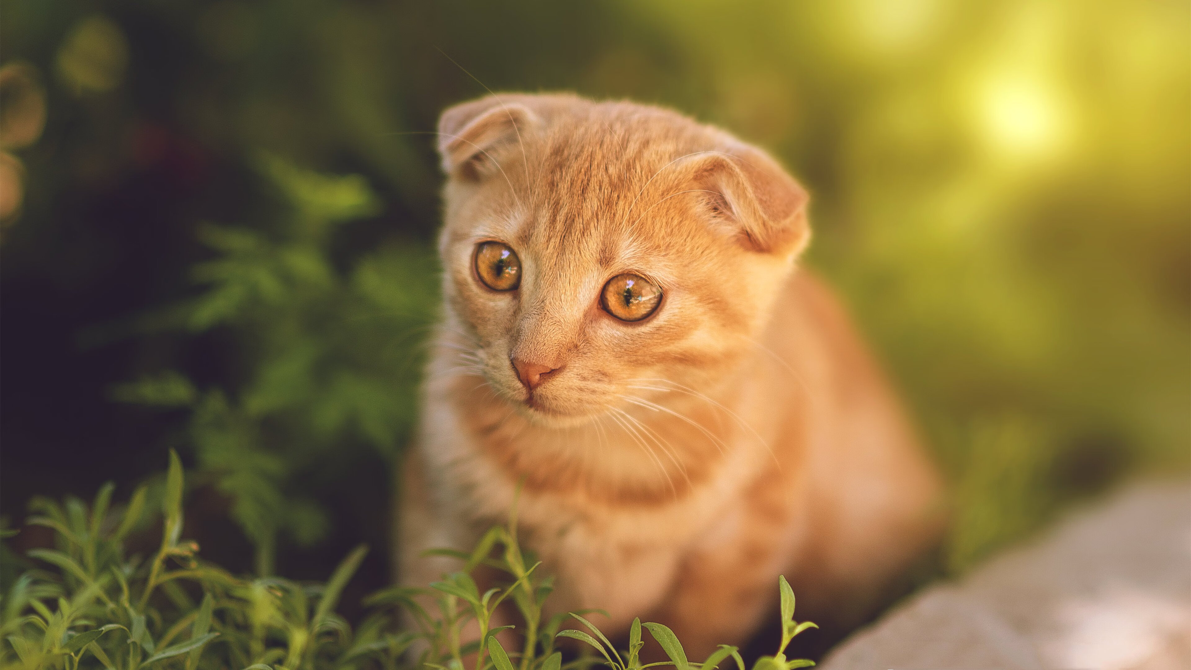 高压防守下的出手选择是否足够合理，高压防护
