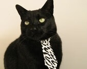 体育科研论文聚焦运动营养与康复,运动营养学论文题目