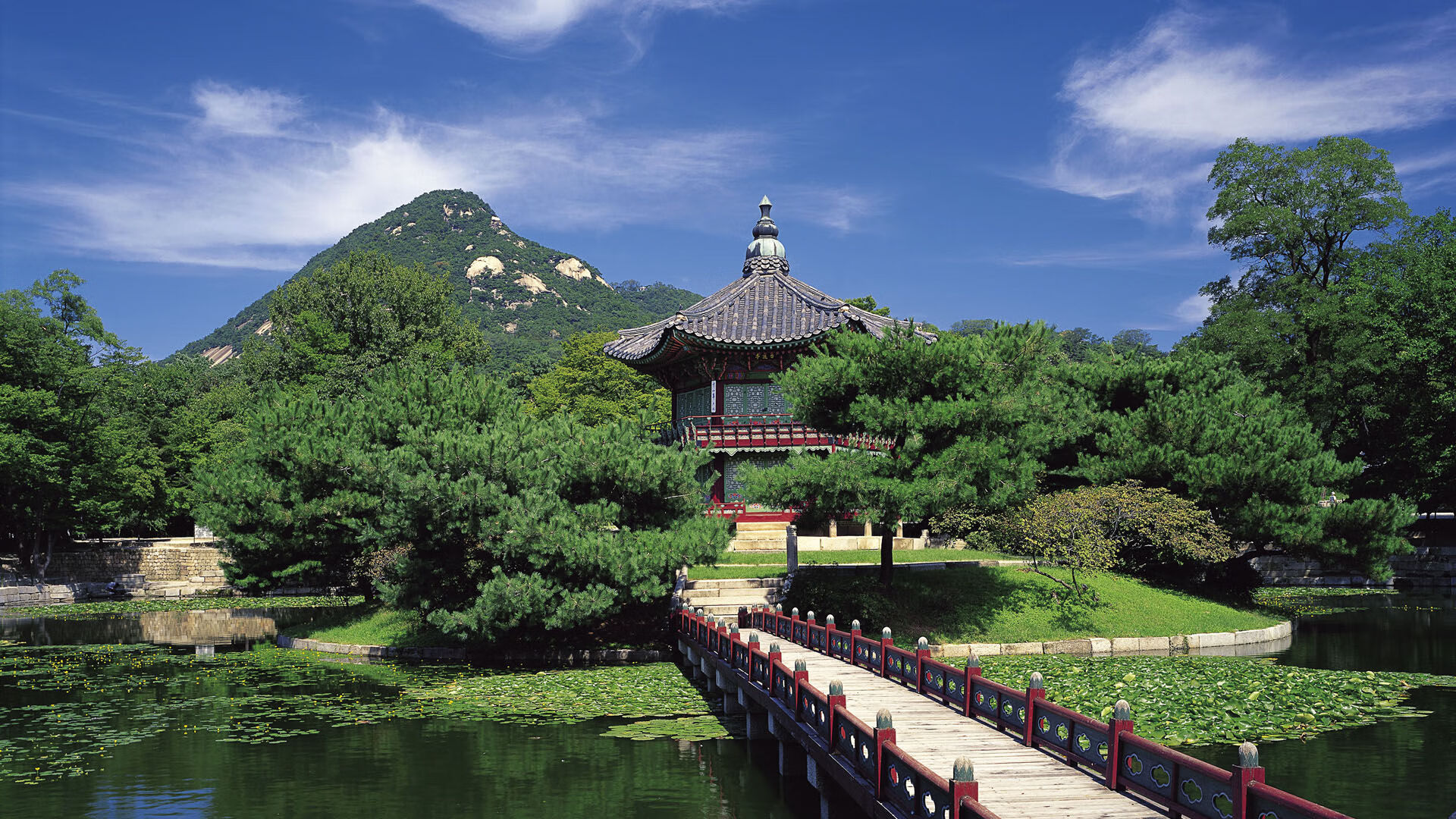 女子足球联赛积分榜更新形势紧张，女子足球全国联赛