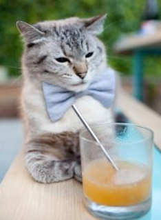 弗兰：全黑队的“战术执行者”，每次传球和防守都能精确打击对方漏洞