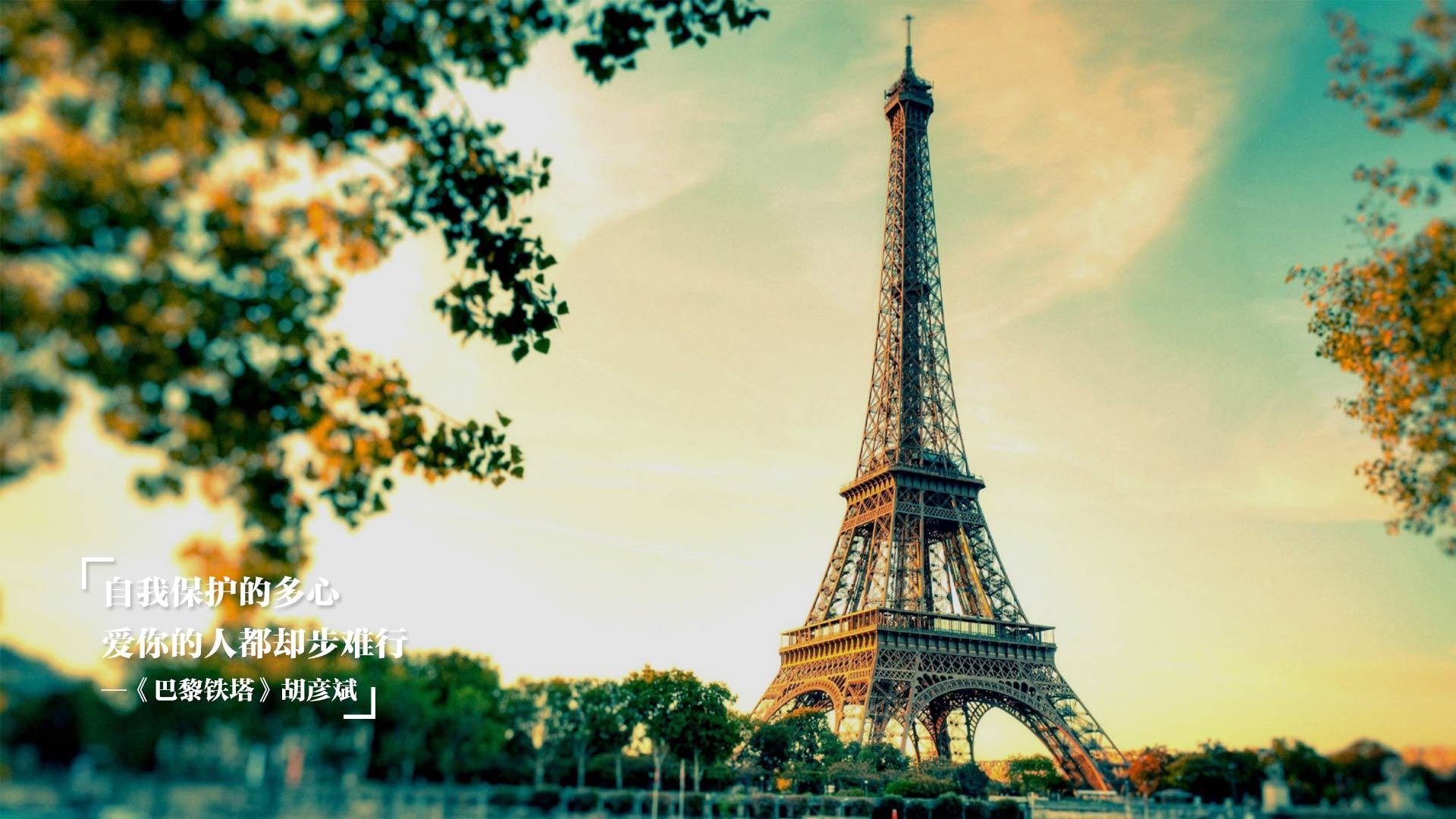 美洲杯英雄辈出:逆境中造就传奇!,美洲杯有谁