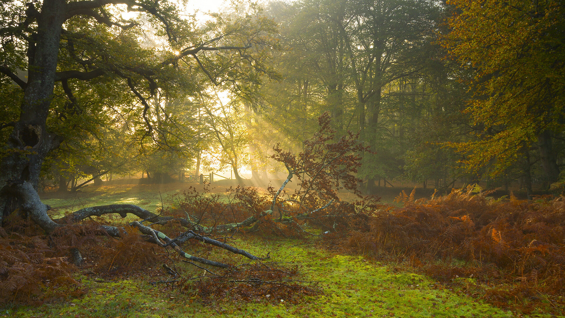 英超冲刺季:悬念逐渐升华,精彩不断!,英超争4
