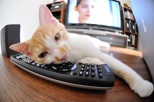 三场压轴大战意外，德甲积分榜第四轮大洗牌，德甲积分2020-2021