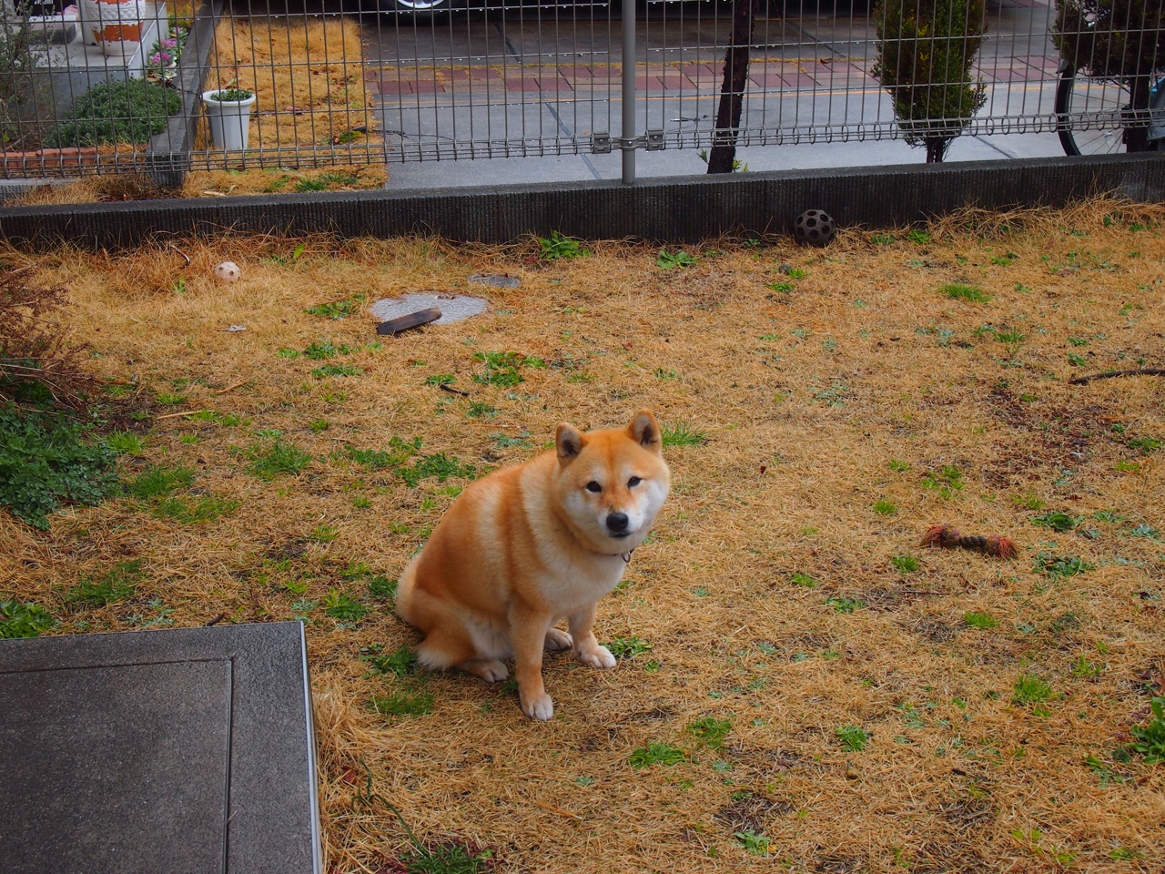 中国足球市场推广策略创新，国内足球市场