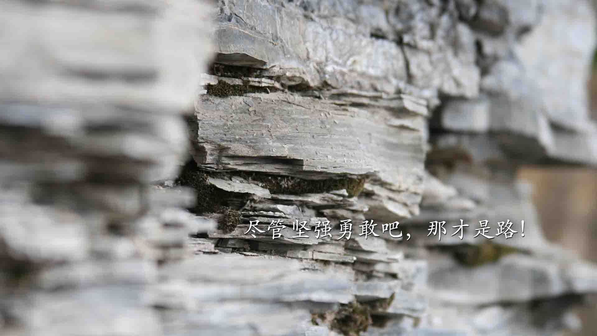 中国足球联赛中重赛与罚球争议影响比赛公正性探讨,重大足球比赛